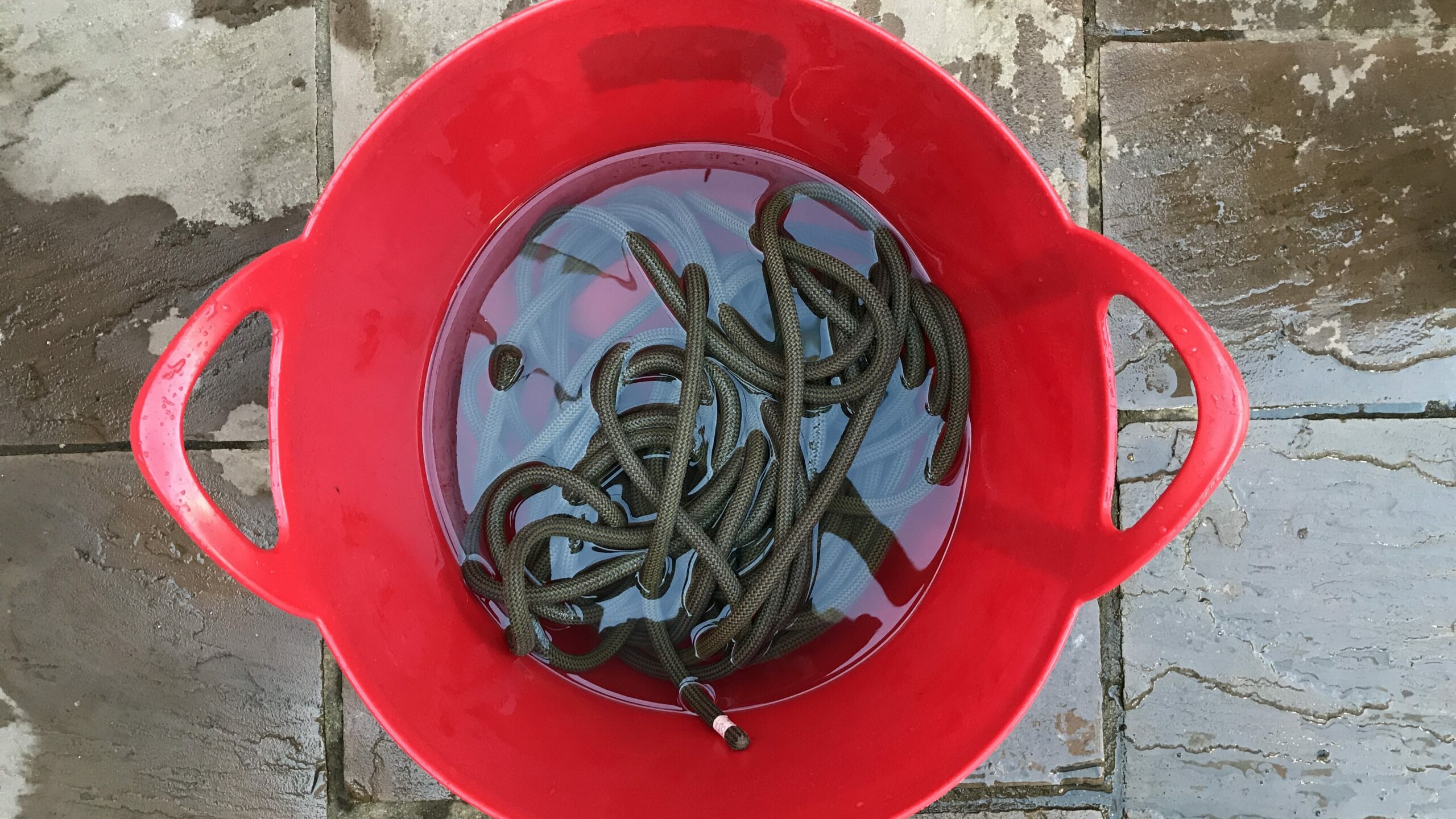 A clean climbing rope rinsed in clean water.