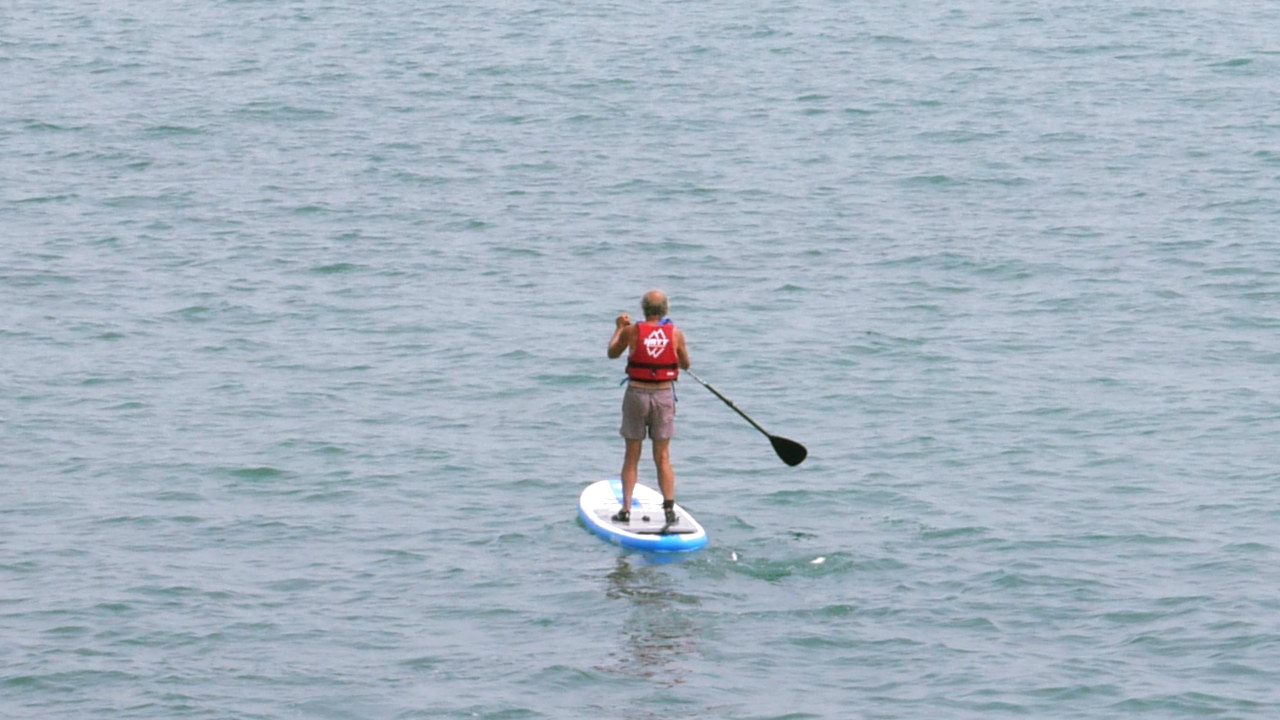 corporate paddleboard experience brighton